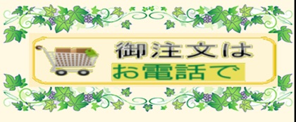 商品イメージ2